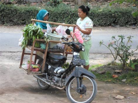 groenteboer aan huis
