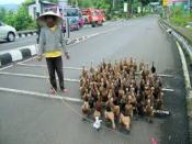 Toerisme op Java, geen toeristen dus.