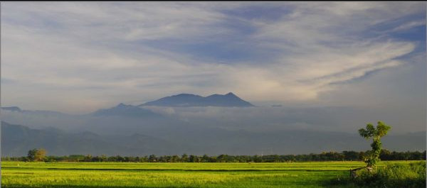 Afbeeldingsresultaat voor argopura